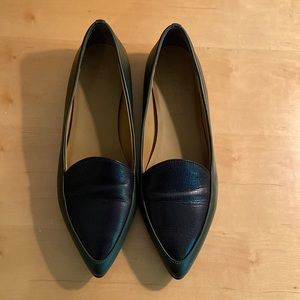 Everlane Pointed Flats; Size 9